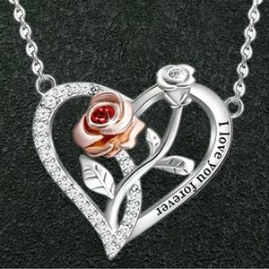 🆕 NWOT Exquisite Fashion Classic Heart Shape Ladies Pendant Necklace.